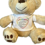 Teddy bear soft toy, with a removable t shirt for children with autism to outline dangers in an emergency. Soft toys for sen children, aids for sen children