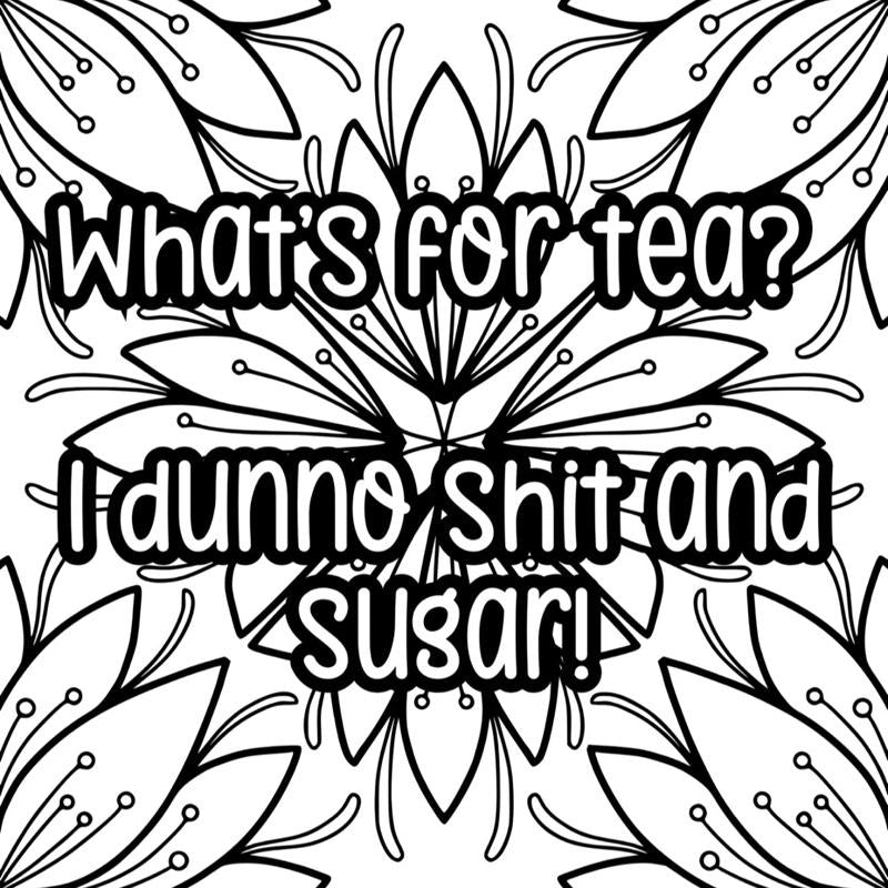 Adult themed humour colouring book 20 pages