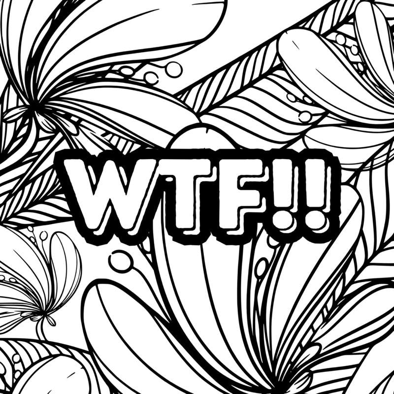 Adult themed humour colouring book 20 pages