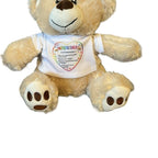 Teddy bear soft toy, with a removable t shirt for children with autism to outline dangers in an emergency. Soft toys for sen children, aids for sen children