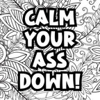Adult themed humour colouring book 20 pages