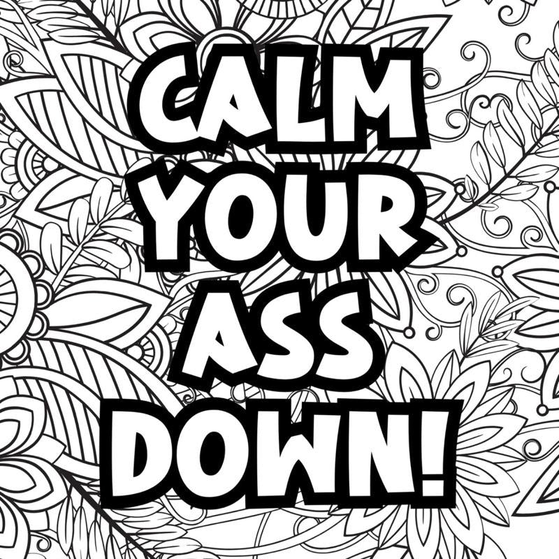Adult themed humour colouring book 20 pages