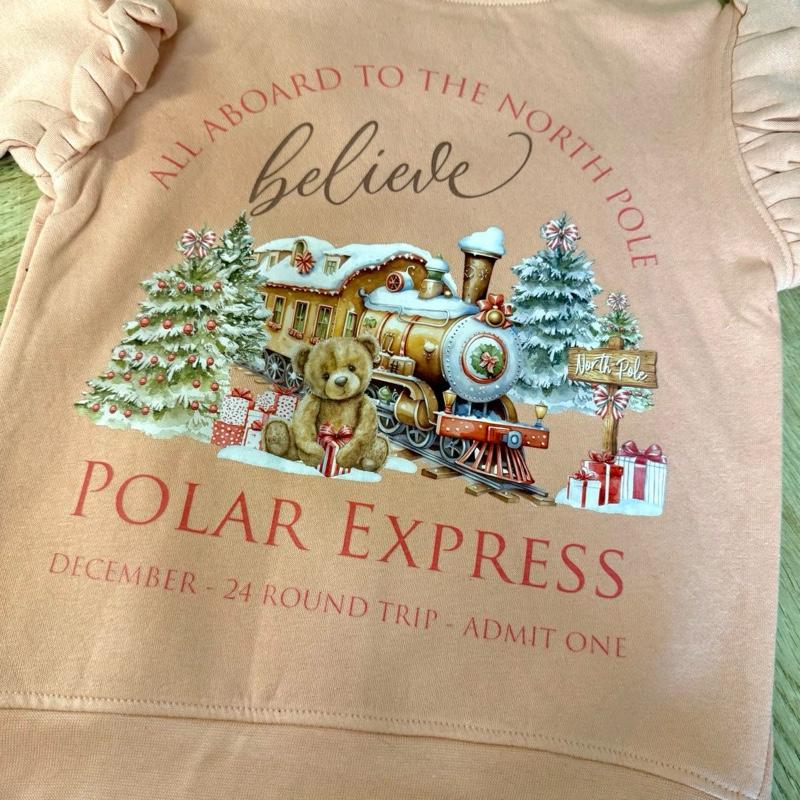 Young girls sweatshirt with frilly arms in a dusty pink with polar express themed