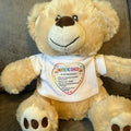 Teddy bear soft toy, with a removable t shirt for children with autism to outline dangers in an emergency. Soft toys for sen children, aids for sen children