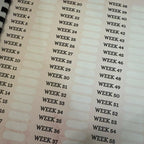 weight loss planner/journal with 15 different pages included to keep you on track