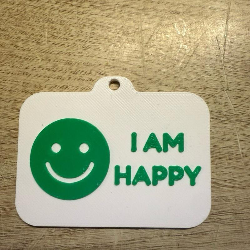 plastic 3d printed communication cards for assisting non-verbal adults and children, english language. Comes on a breakaway lanyard and you can chose between 3 and 11 of the cards in the pictures to match the colour of chosen lanyard. Message once ordered