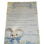 Personalised blue or pink letters from the Easter bunny