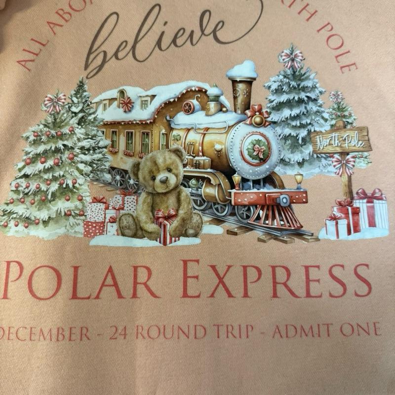 Young girls sweatshirt with frilly arms in a dusty pink with polar express themed
