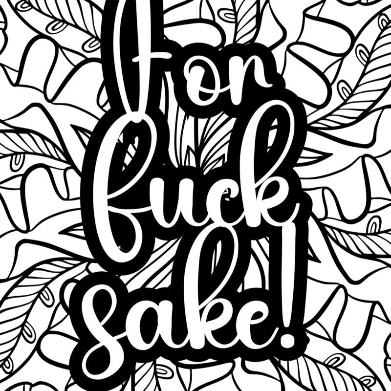 Adult themed humour colouring book 20 pages